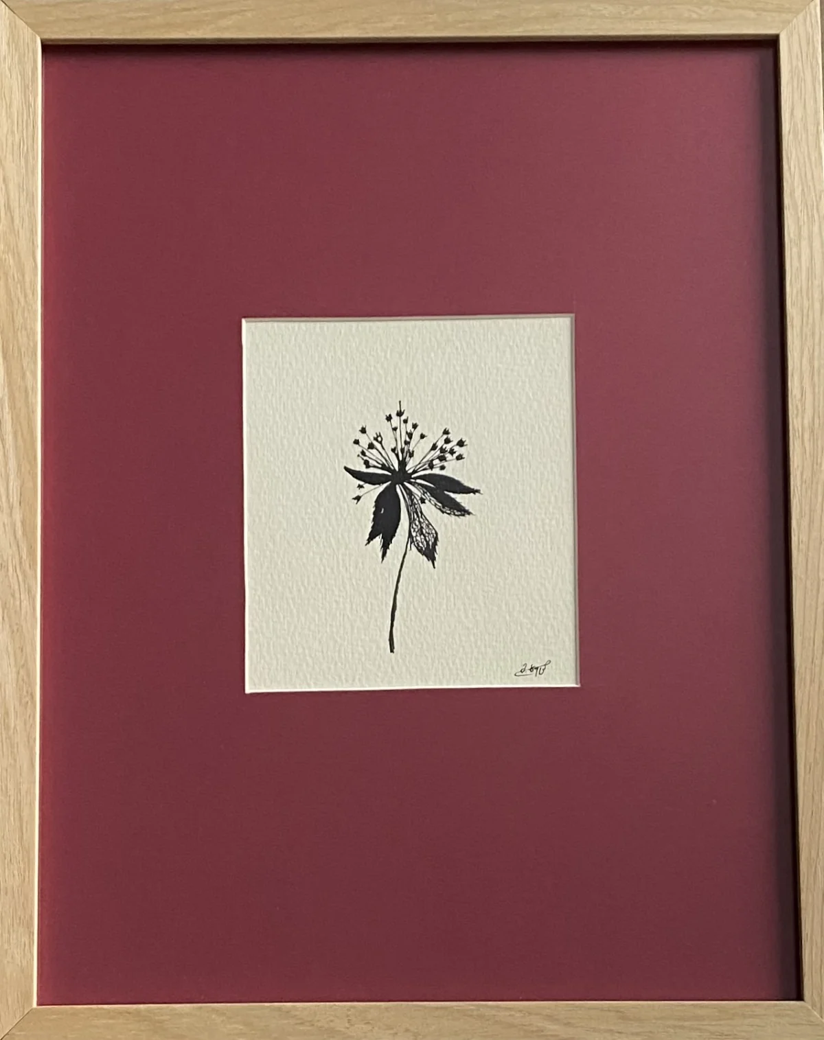 ზამთრის ბოტანიკა